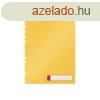 Genotherm lefzhet A4, Maxi Leitz Cosy Privacy melegsrga