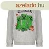 Minecraft gyerek pulver 9 v
