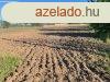 Elad telek Zsomb, 	Zsomb ft mellett elad terlet