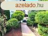 Elad 95 nm-es Feljtott Sorhz Debrecen