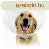 Erzsbet-kutya nyakrv (vdtlcsr) KVP Check tltsz (38-