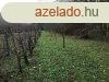 Hvzen mkd fogszati rendel cggel egytt elad