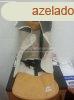Chicco Pthuzat Ct. 05 babakocsira #Sarah